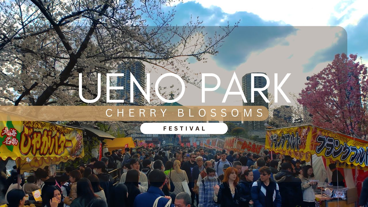 Ueno Park’s Cherry Blossoms Draw Massive Crowds for Hanami!