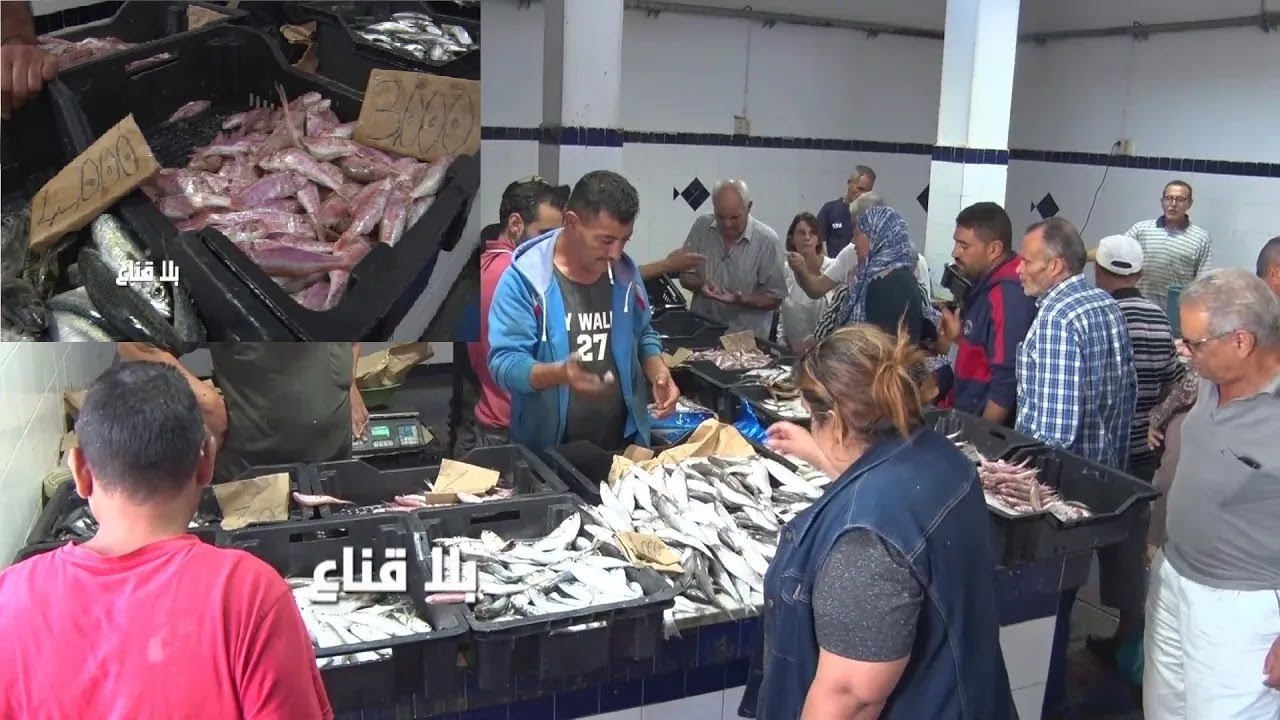 تريليا فرشكة بثلاثة دينارات والسريدنة بدينارين وشبعة حوت بنصف الثمن..أسوام عالمية نكتشفها لأول مرة