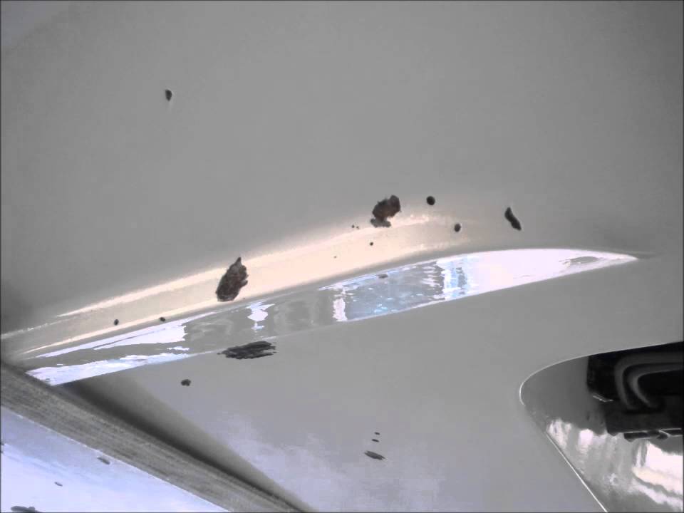 Osmose Sanierung / Antifouling Neuaufbau