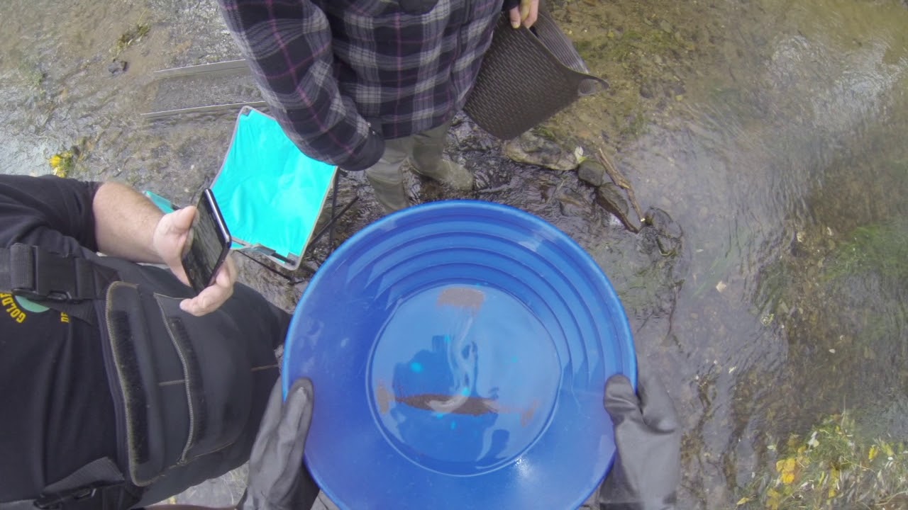 Edergold bei Niedrigwasser