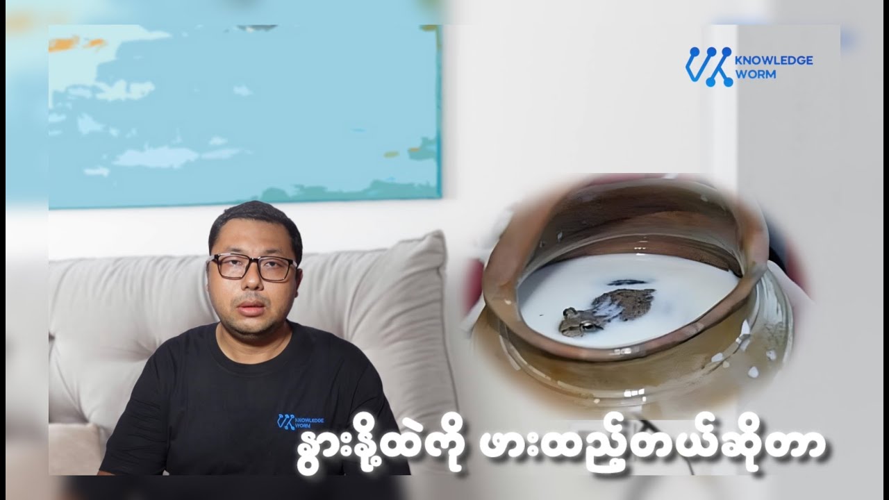 နွားနို့ထဲကို ဖားတကောင်ထည့်လိုက်တဲ့ အခါ