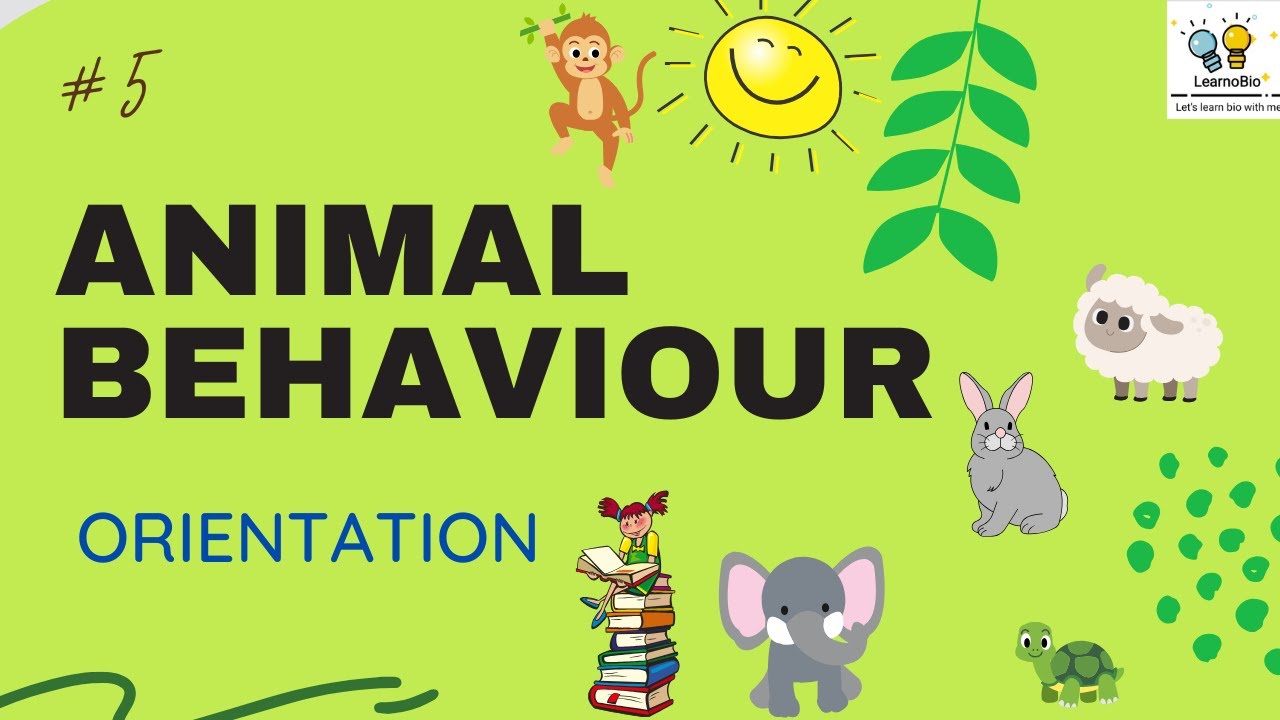 ANIMAL BEHAVIOR || PART-5 || ORIENTATION