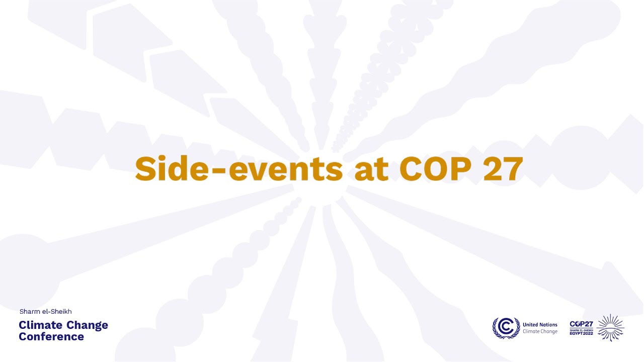 Implementing Adaptation Strategies for Climate Change Using Planning,Forestry,Agriculture & Land-use