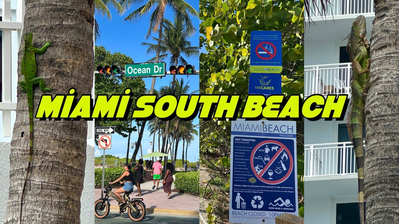 Miami VLOG - South Beach Walking Tour  [4K] 
