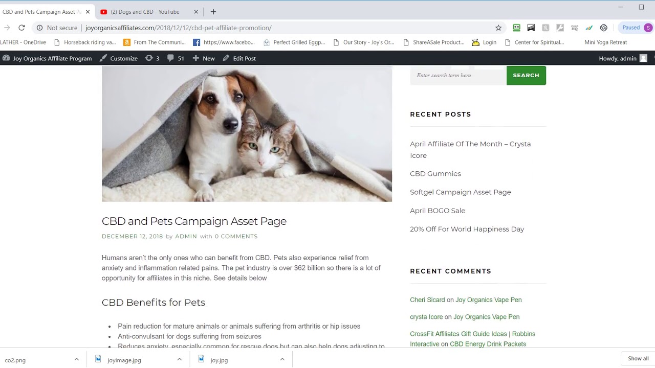 How to embed a video into your site/blog post