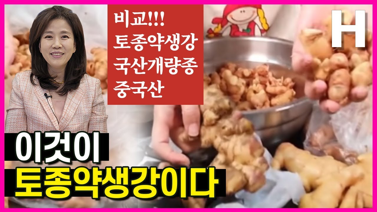 김소형 생강청의 약생강 고르는 법! 생강청 만들 분들은 꼭 보세요!