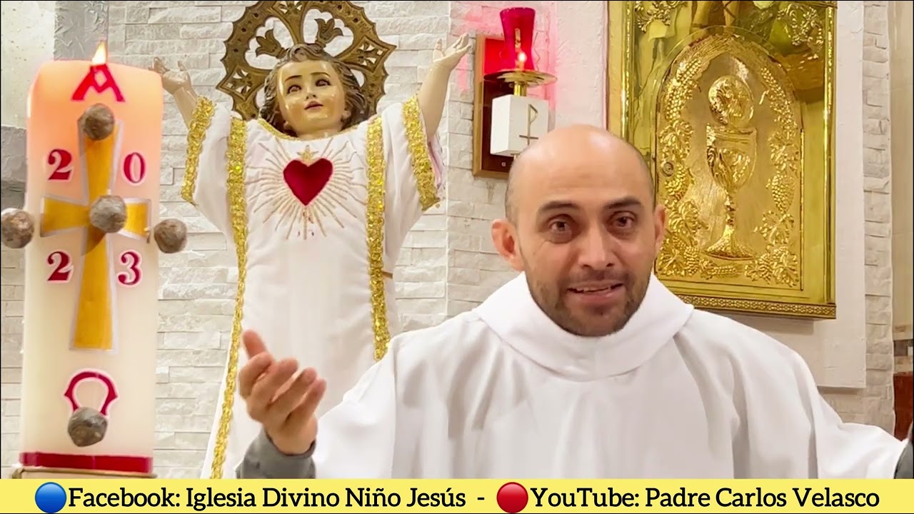 Del santo Evangelio según san Juan 17, 20-26. Jueves, 25 de mayo de 2023.
