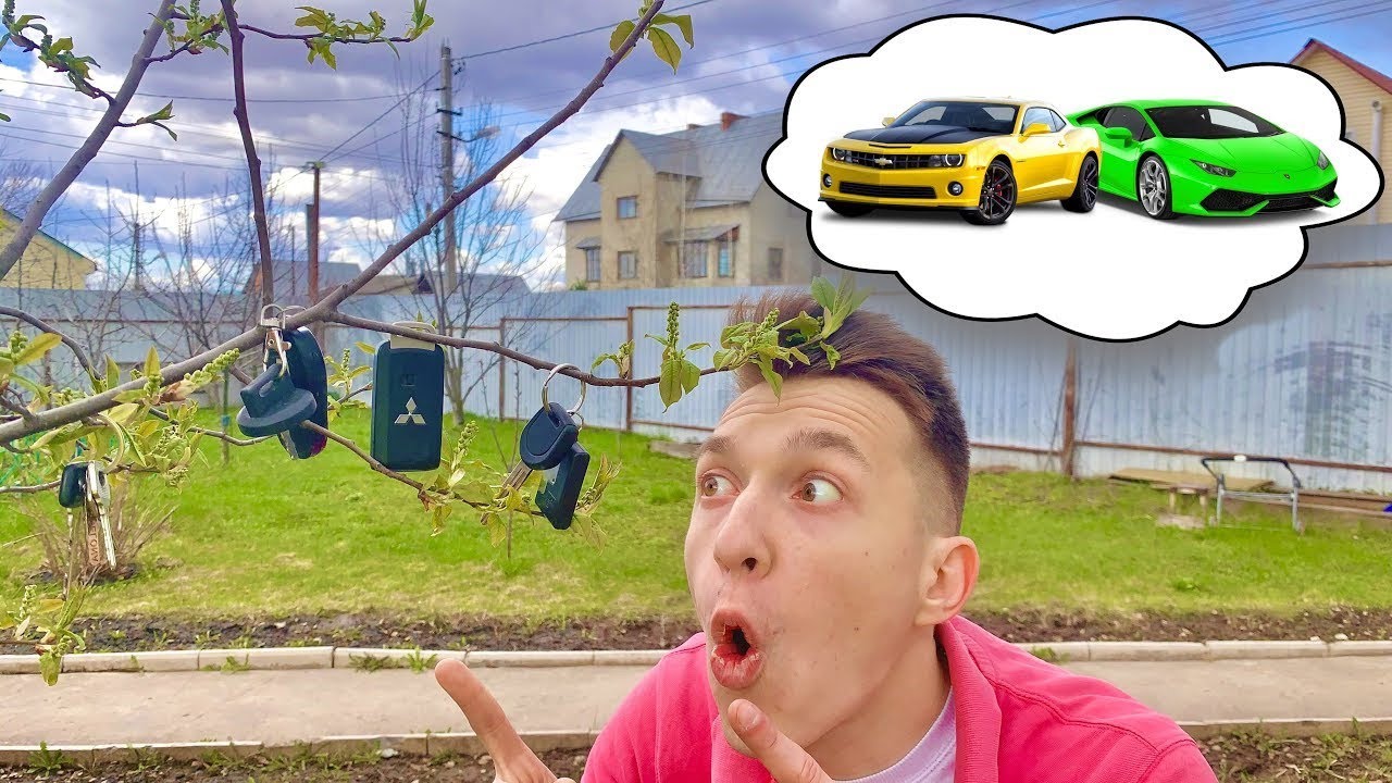 Mr. Joe grows tree on which Keys grow and started pick up New Car 13+