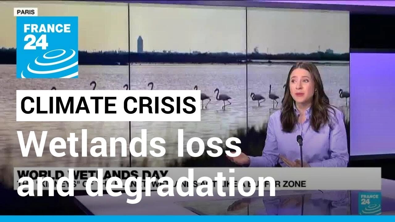 World Wetlands Day: Some 70% of wetlands have disappeared in last 100 years &bull; FRANCE 24 English