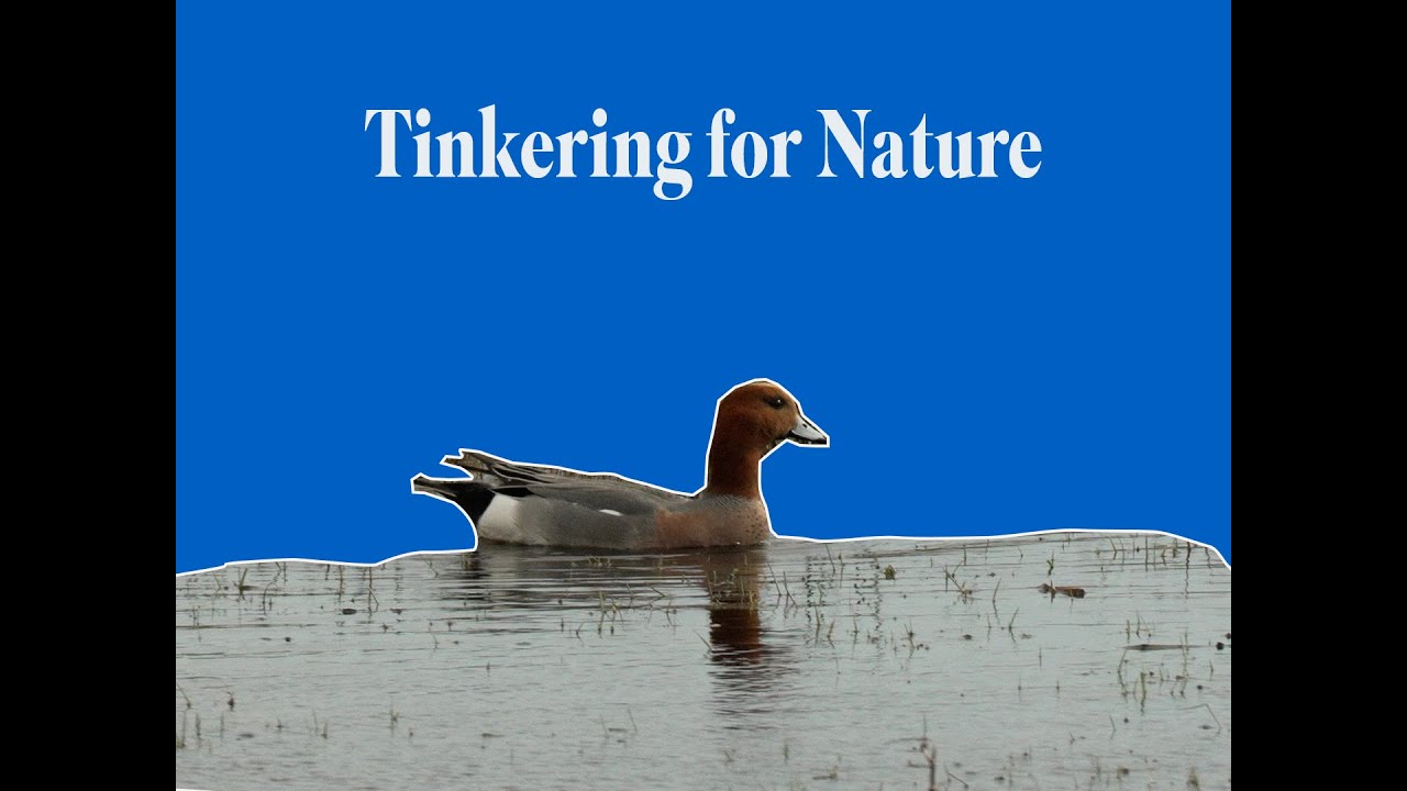 TINKERING FOR NATURE