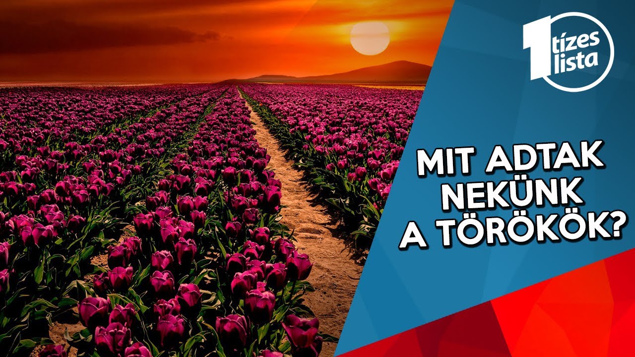 10 Érdekesség Törökországról, amit eddig talán nem tudtál - Országok #25