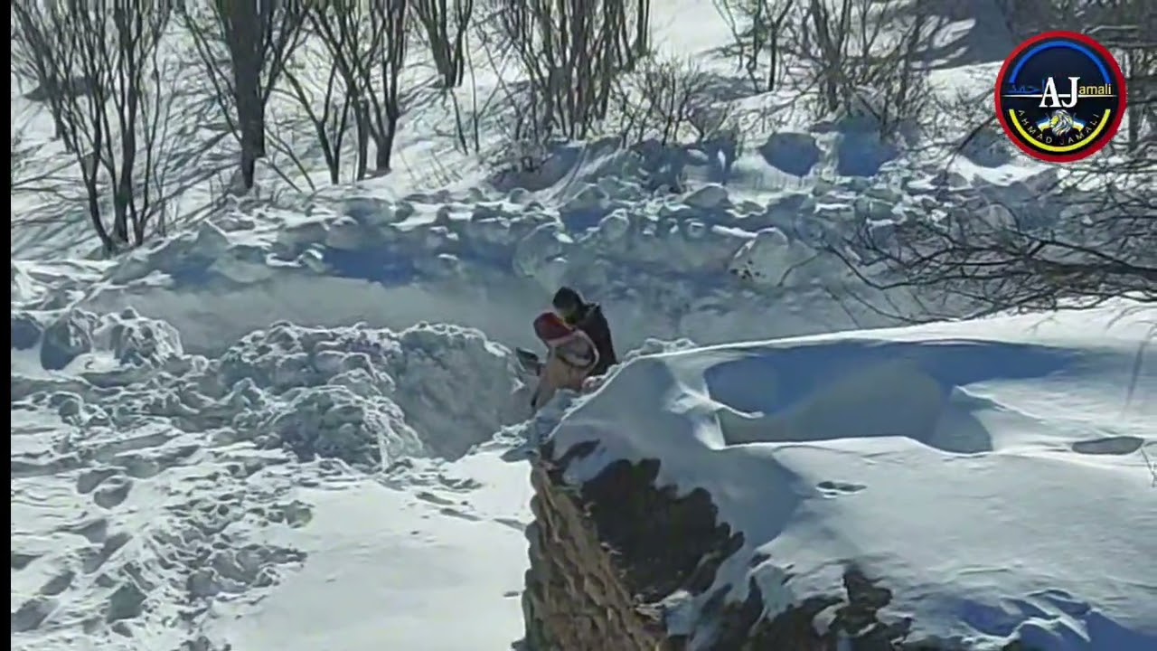 قلیاقل جان دوباره برفی شد خدارا هزار بارشکر.  ❄️🌨️22/01/2026