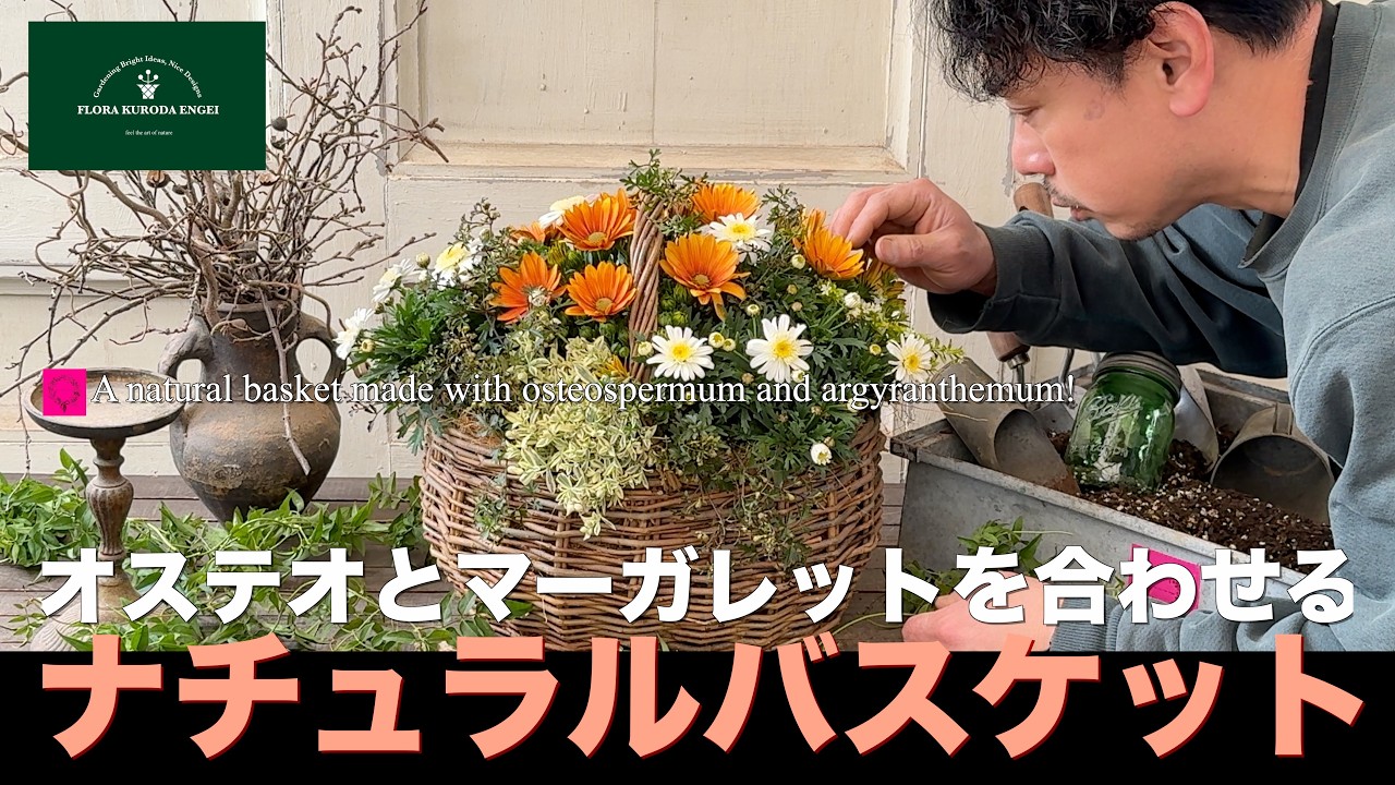 【ナチュラルバスケット寄せ植え】オステオスペルマムとマーガレットを合せる！「春のガーデニング」-フローラ黒田園芸- #ガーデニング #園芸 #寄せ植え #フローラ黒田園芸 #黒田園芸 #黒田健太郎