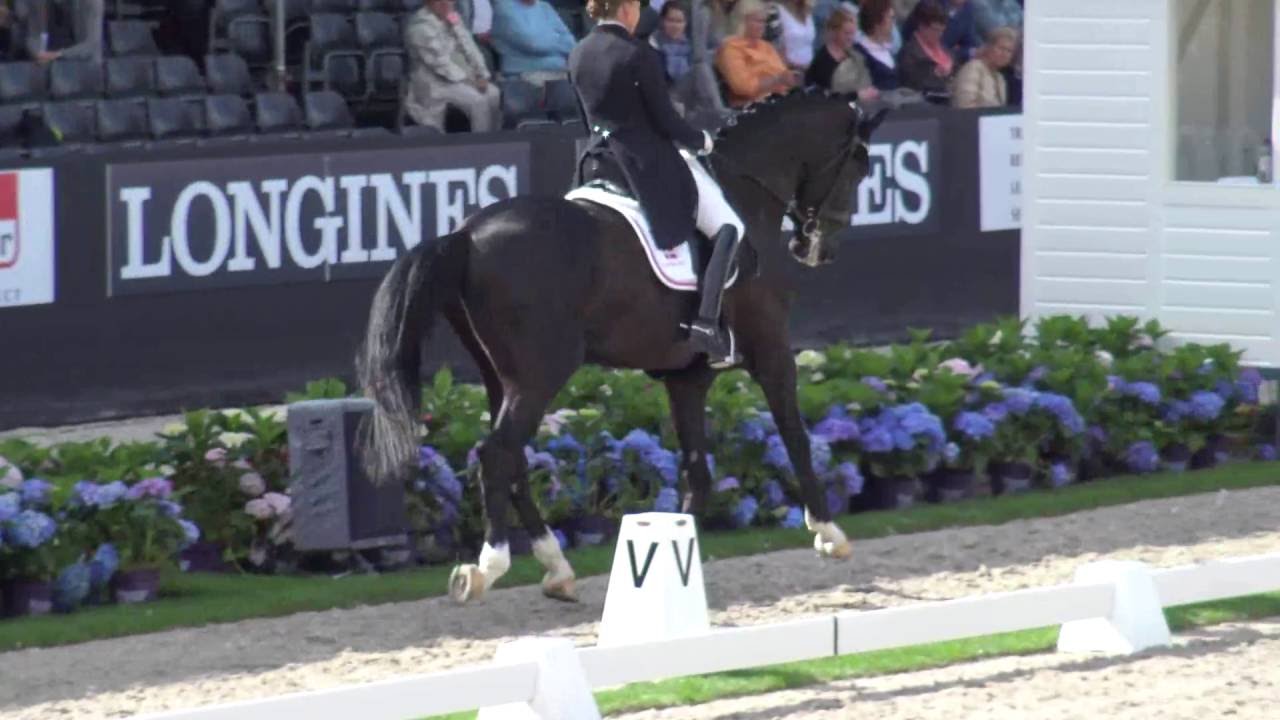 Sezuan...World Champion 7 yr.old dressagehorses 31-7-2016 Ermelo
