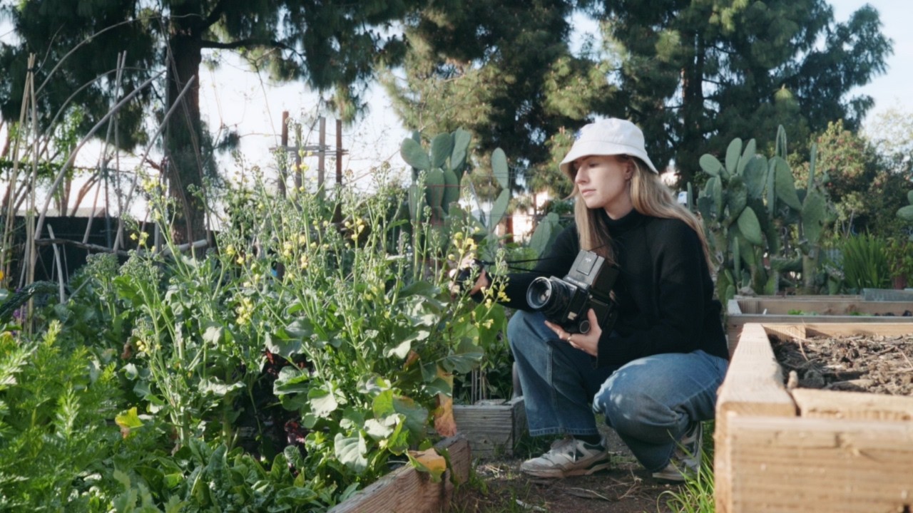 Mamiya RB67 in the Garden: Slow Film Photography