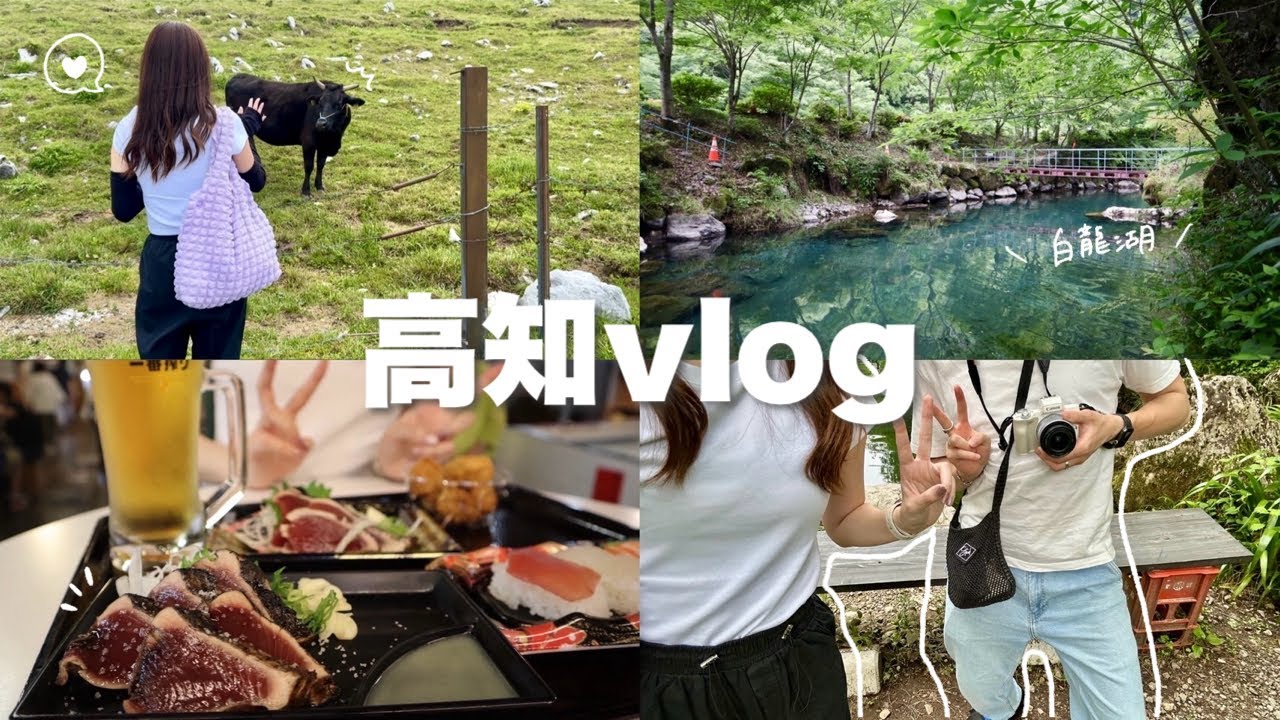 【vlog】7年記念日旅行in高知🌿