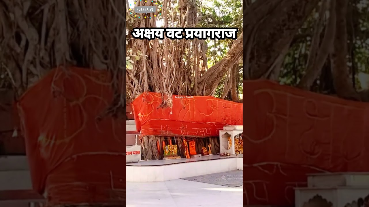 Darshan Akshayvat Prayagraj
