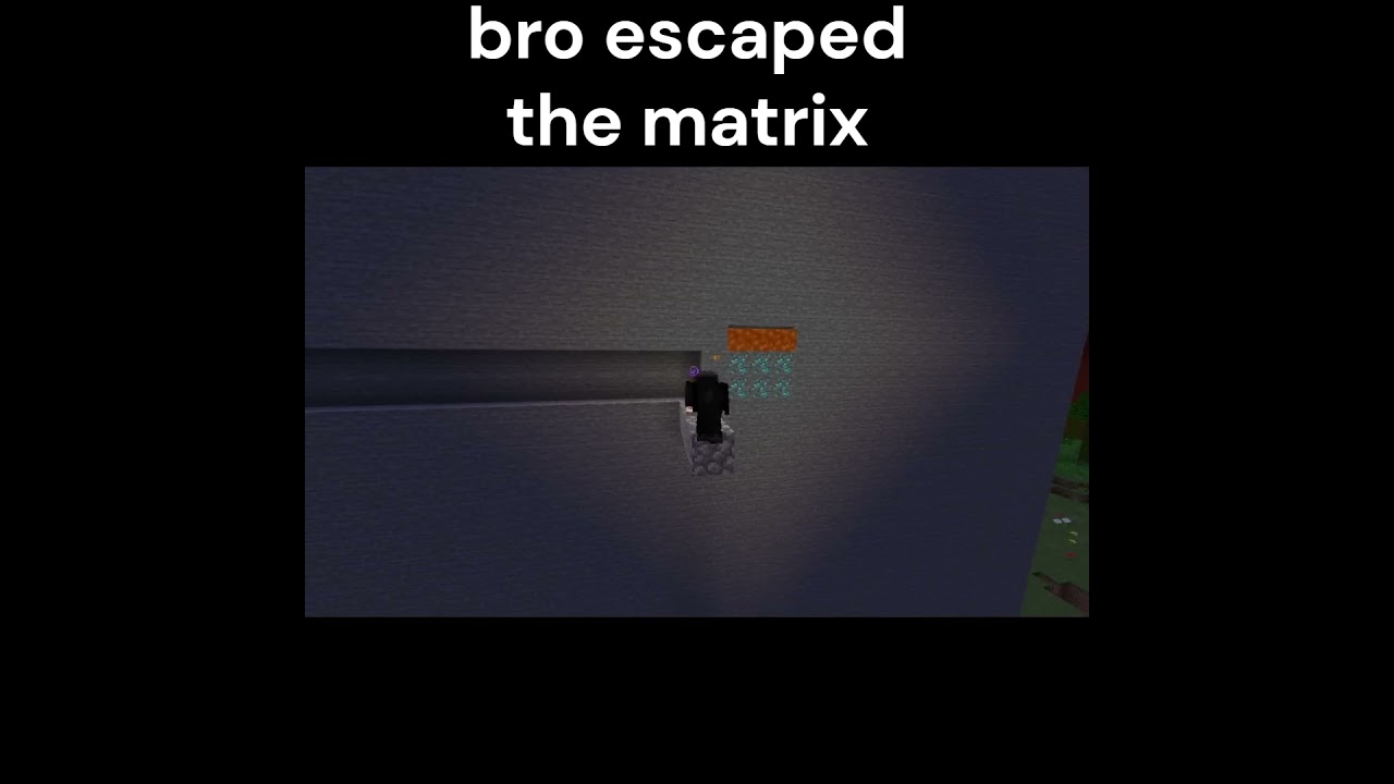 Bro escaped the matrix #edit #gaming #funny