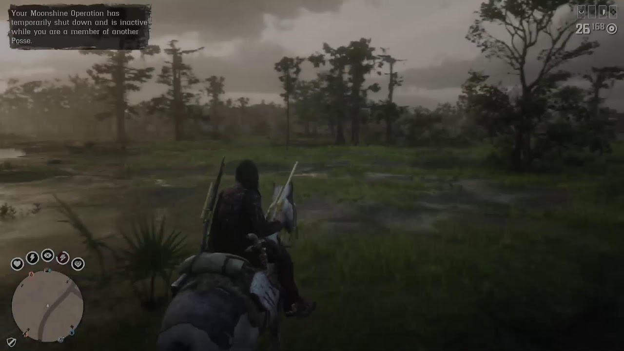 RDR 2 hungover