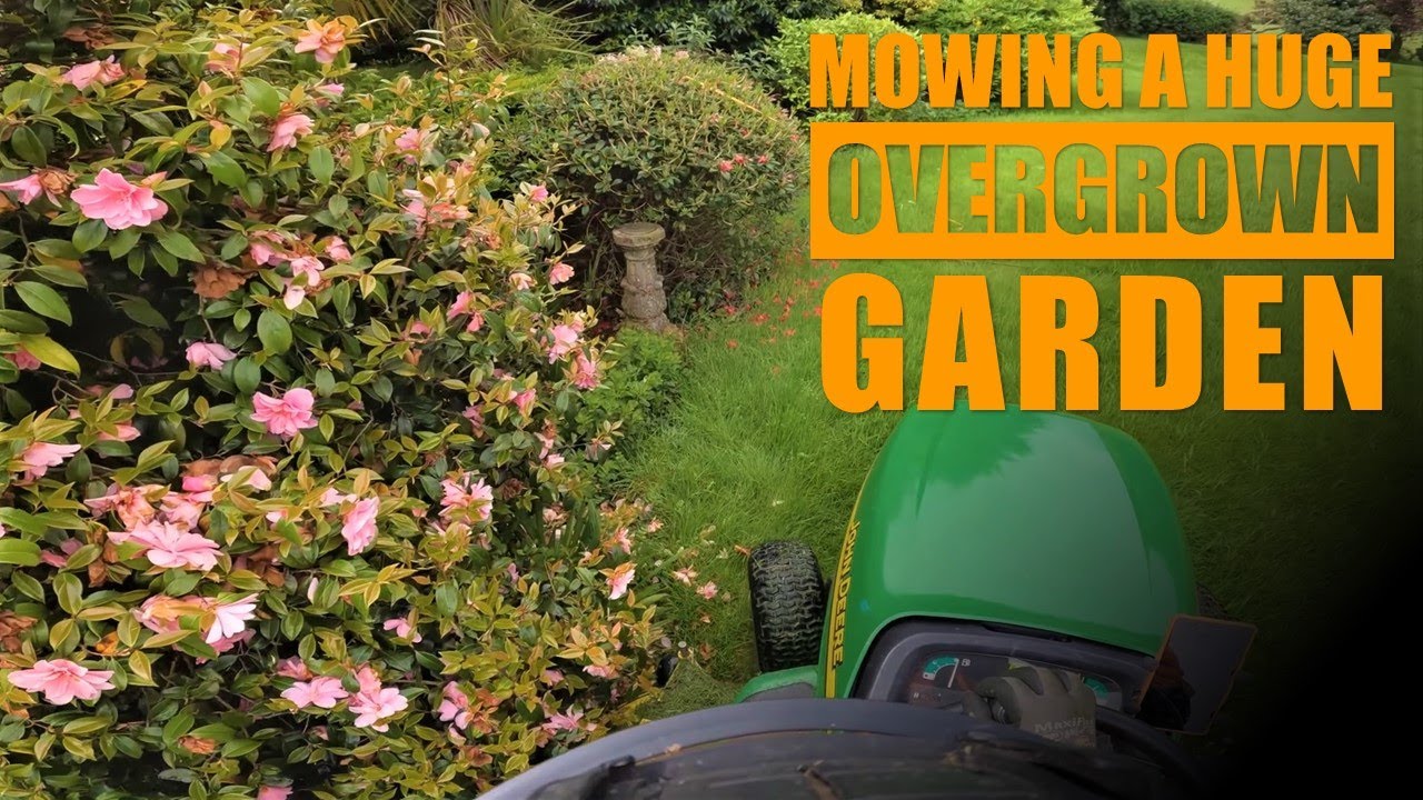 Mowing a huge, overgrown lawn in N.Ireland