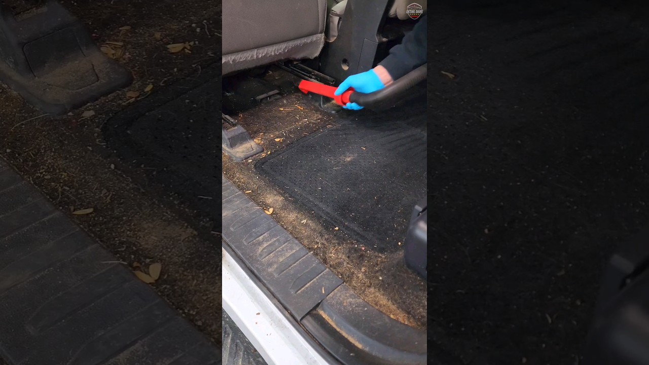 Detailing NASTY Work Truck in 60 SECONDS! 🚘💕 #ASMR #Satisfying #Detailing #CarCleaning #DetailDane