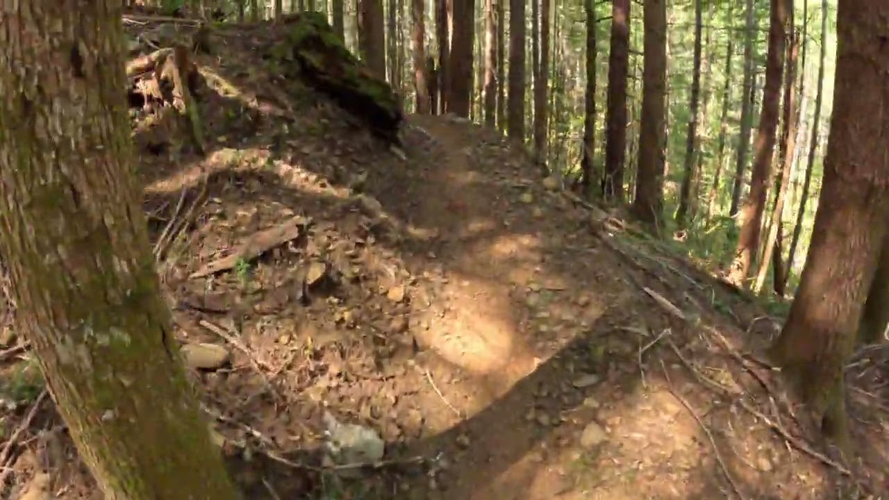 Alsea Fall mountain biking- Gut Robber uphill
