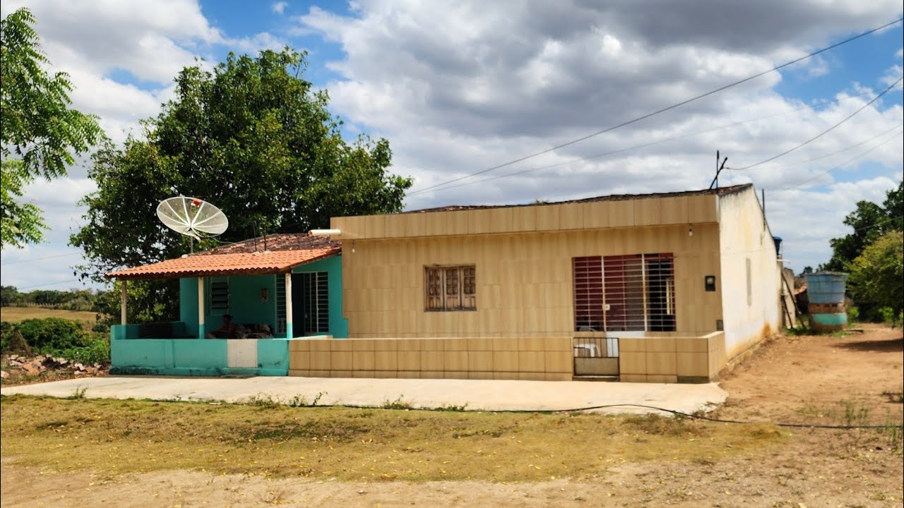 Sítio à Venda em João Alfredo-PE: 1 Hectare, Casa Grande, Açude e Muitas Fruteiras! 🏡🌳