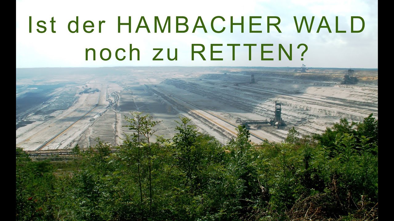 Ist der Hambacher Wald noch zu retten?