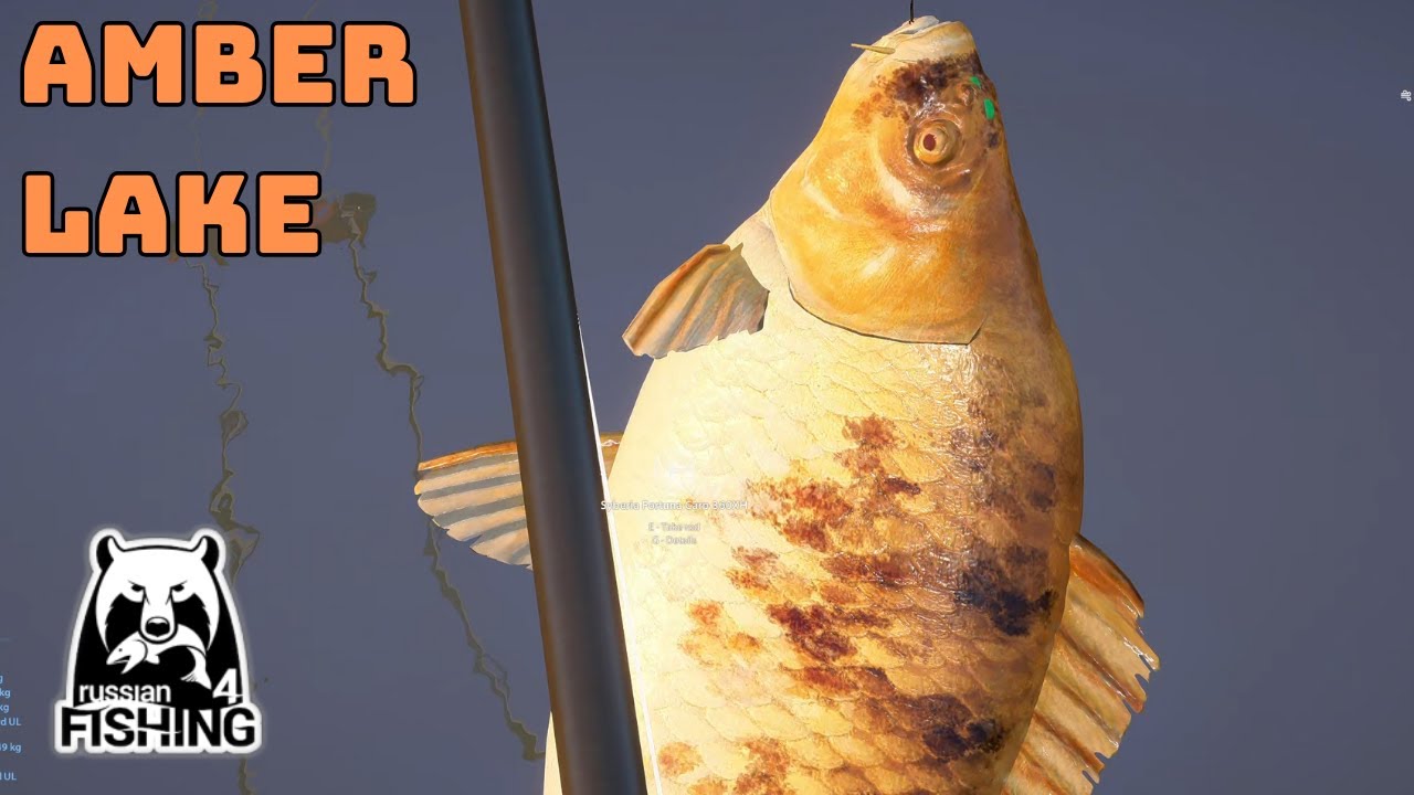AMBER LAKE CARP SPOT 264 | Russian Fishing 4 RF4