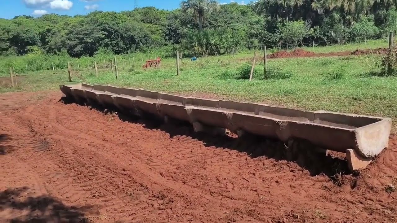 vendo 30 vaca em lactação arrendo 10 hectares com corral ordenha  casa e barracão e 34 99789-5318 