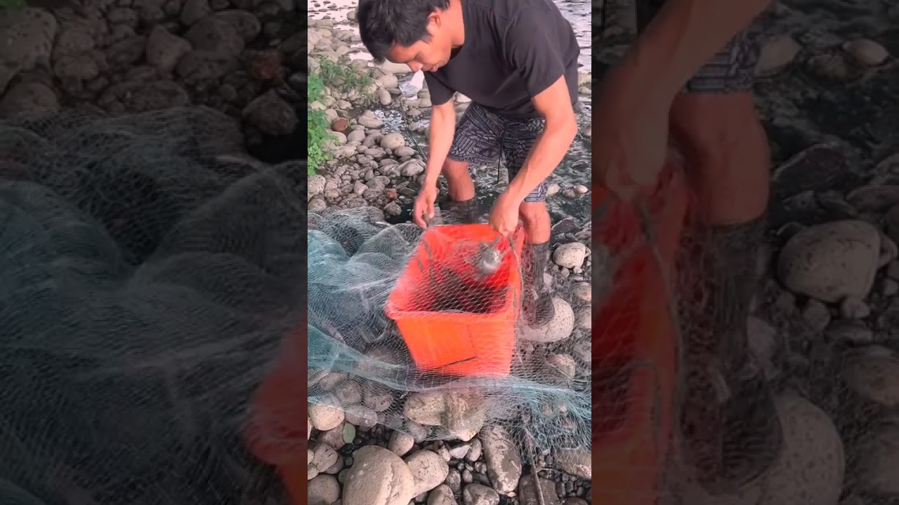 Primitive life, Simple life, Food Life, EP33,#fypage,#catchingfish, #fishing,#handfishing,