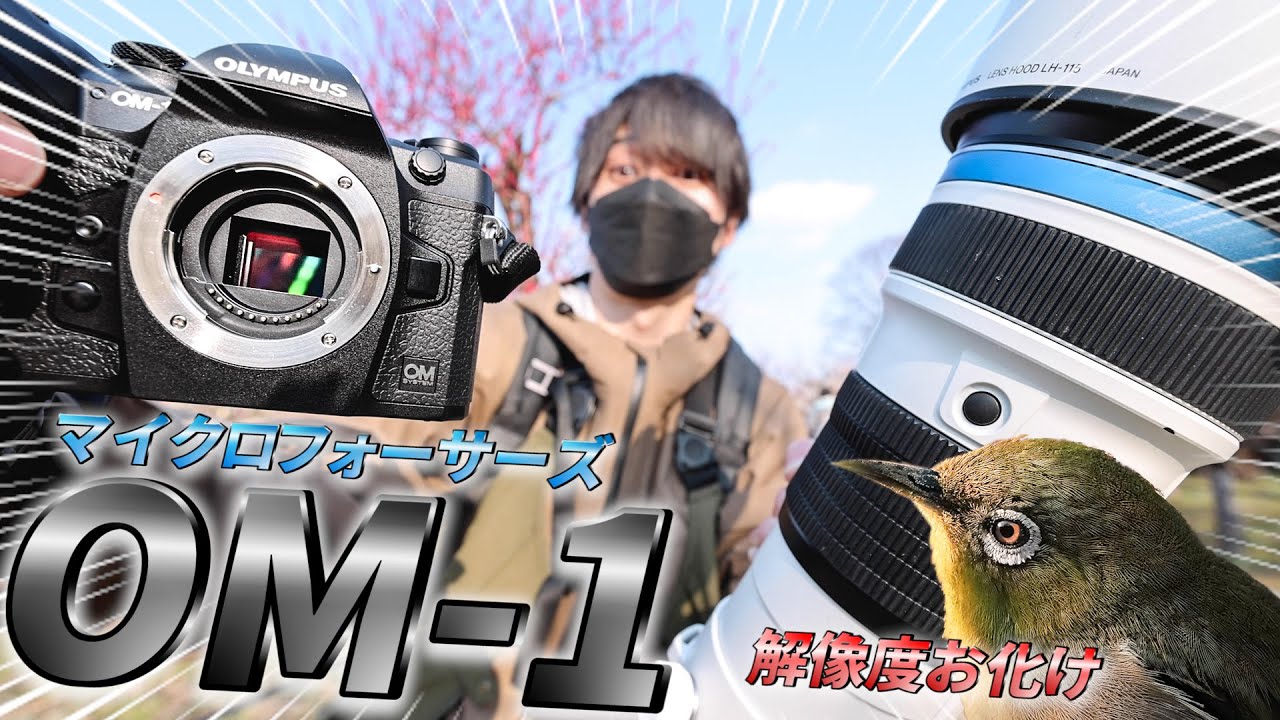 【マイクロフォーサーズの本気】ついに出た！OM-1の実力やいかに！？