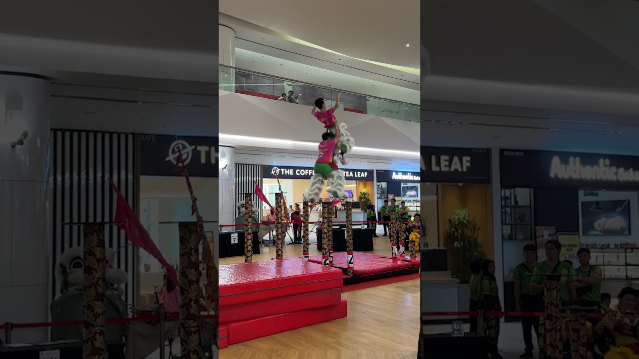 Xiang Yi Culture and Sport Club  Lion Dance- slowmo dismount