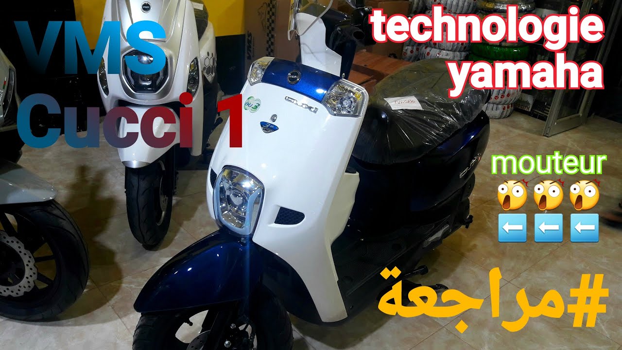 Vms Cucci 1 في أم أس كوكسي 1 معشوقة الجماهير