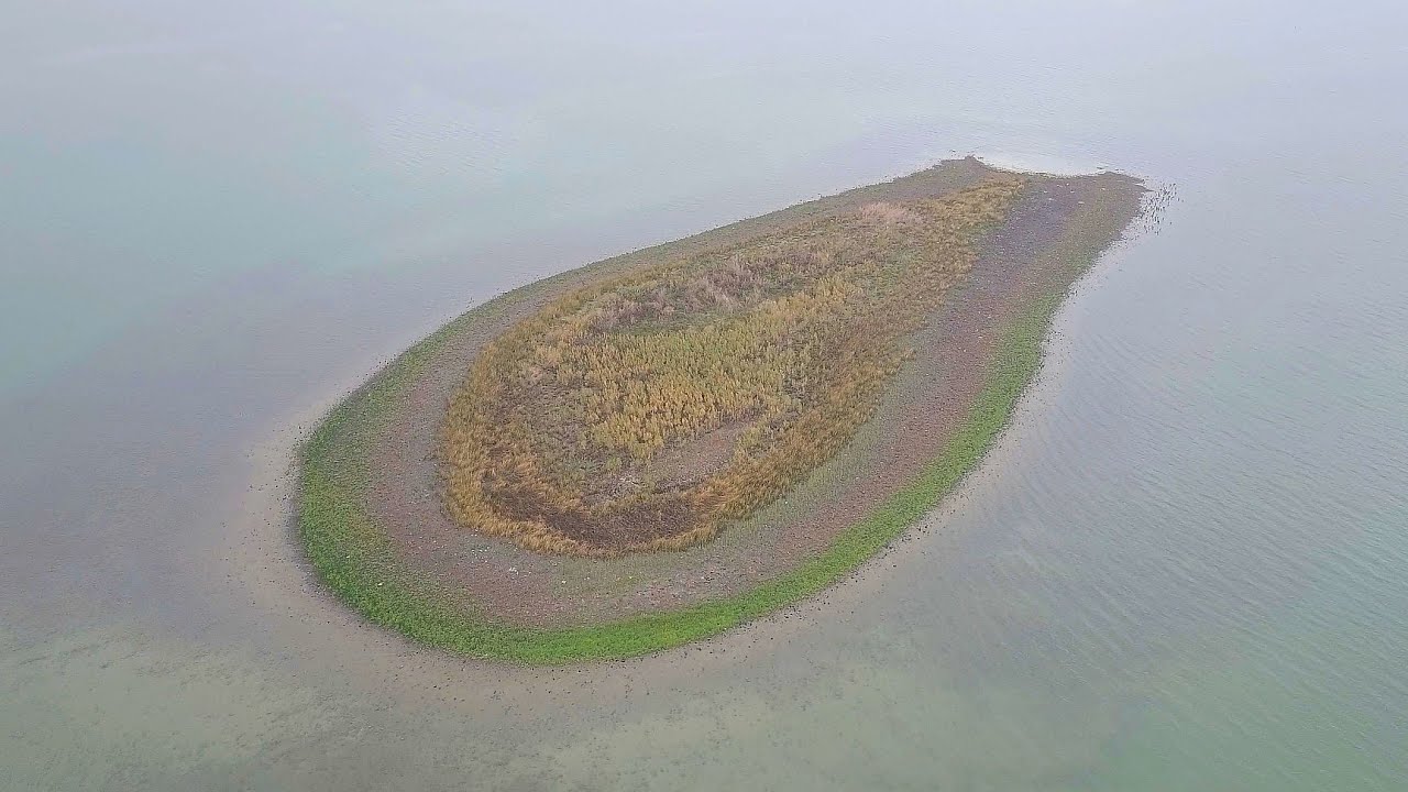 Island of Dajjal, The sea of Galilee record low, Tear shaped island جزيرة الدجال  بحيرة طبريا