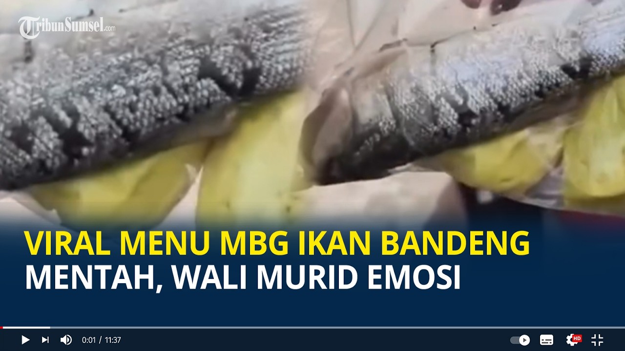 Viral Menu MBG Ikan Bandeng Mentah, Wali Murid Emosi