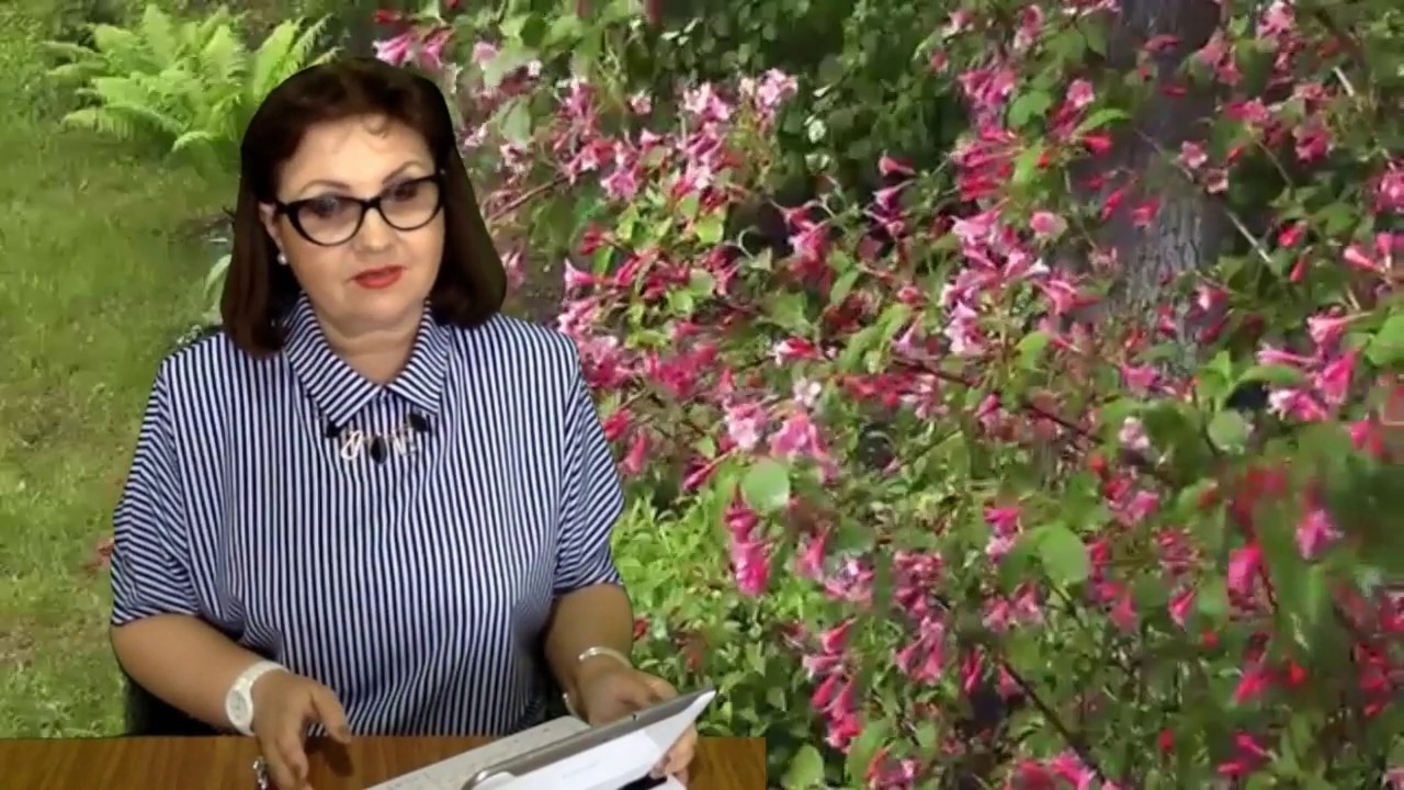 Если муж не хочет третьего ребенка...