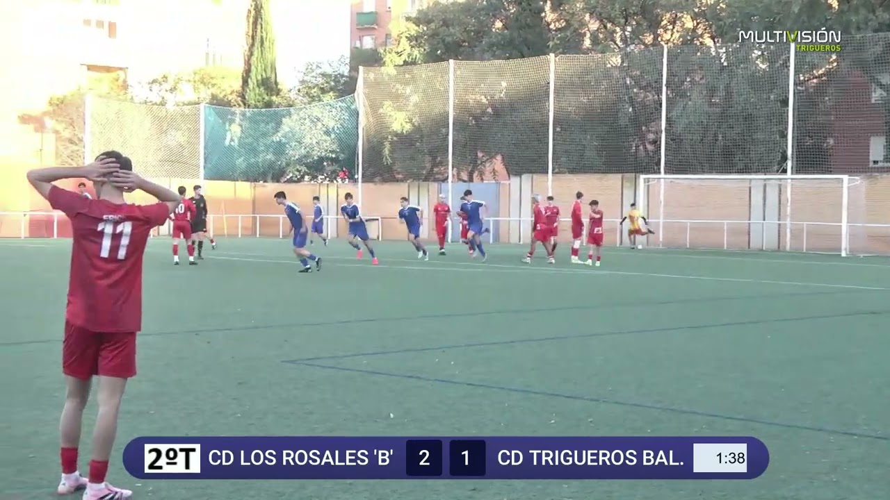 RESUMEN 3ªJUVENIL LOS ROSALES B - TRIGUEROS (14-2-2026)