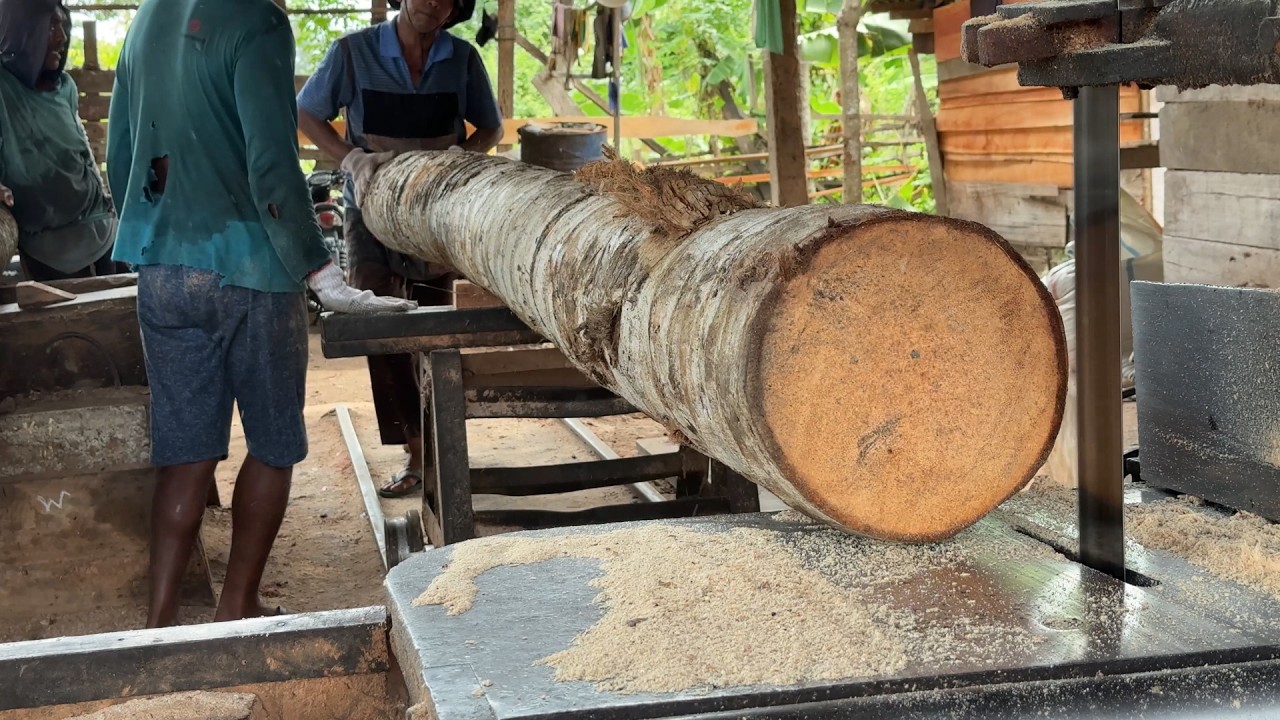 Sawing a 5x7 Coconut Tree with High Precision