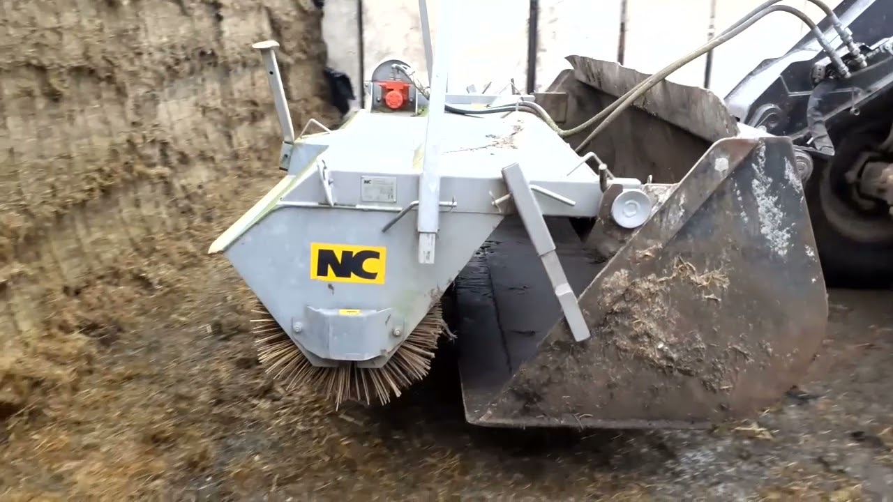 Cleaning the yard!