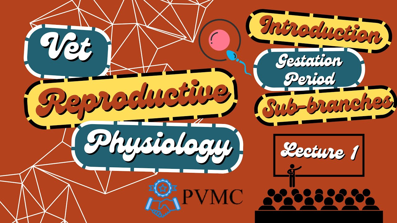 Reproductive Physiology in Animals [CC] | Gestation Periods & Branches | VetCare Guide
