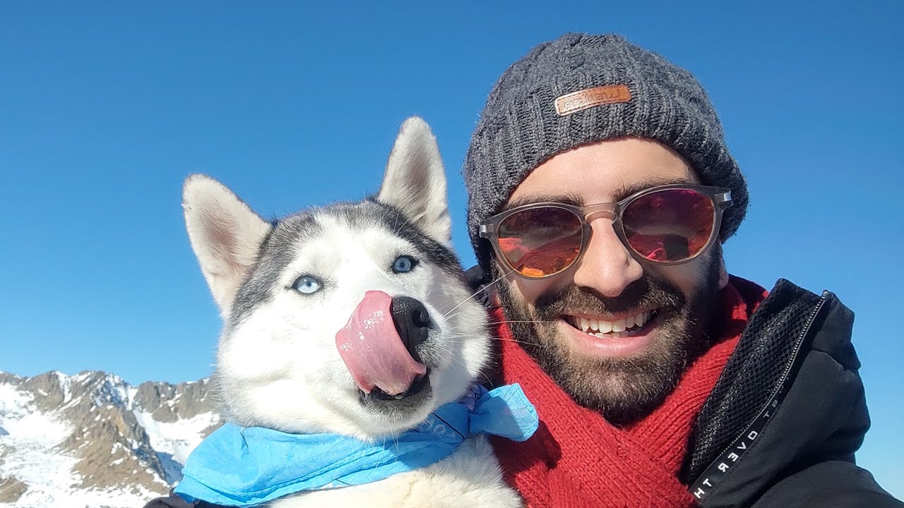 Sur la route de la cime du Lausfer avec un Husky (Isola 2000)