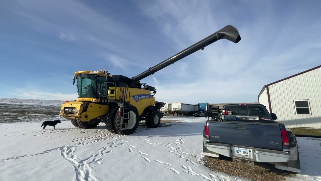 BigIron