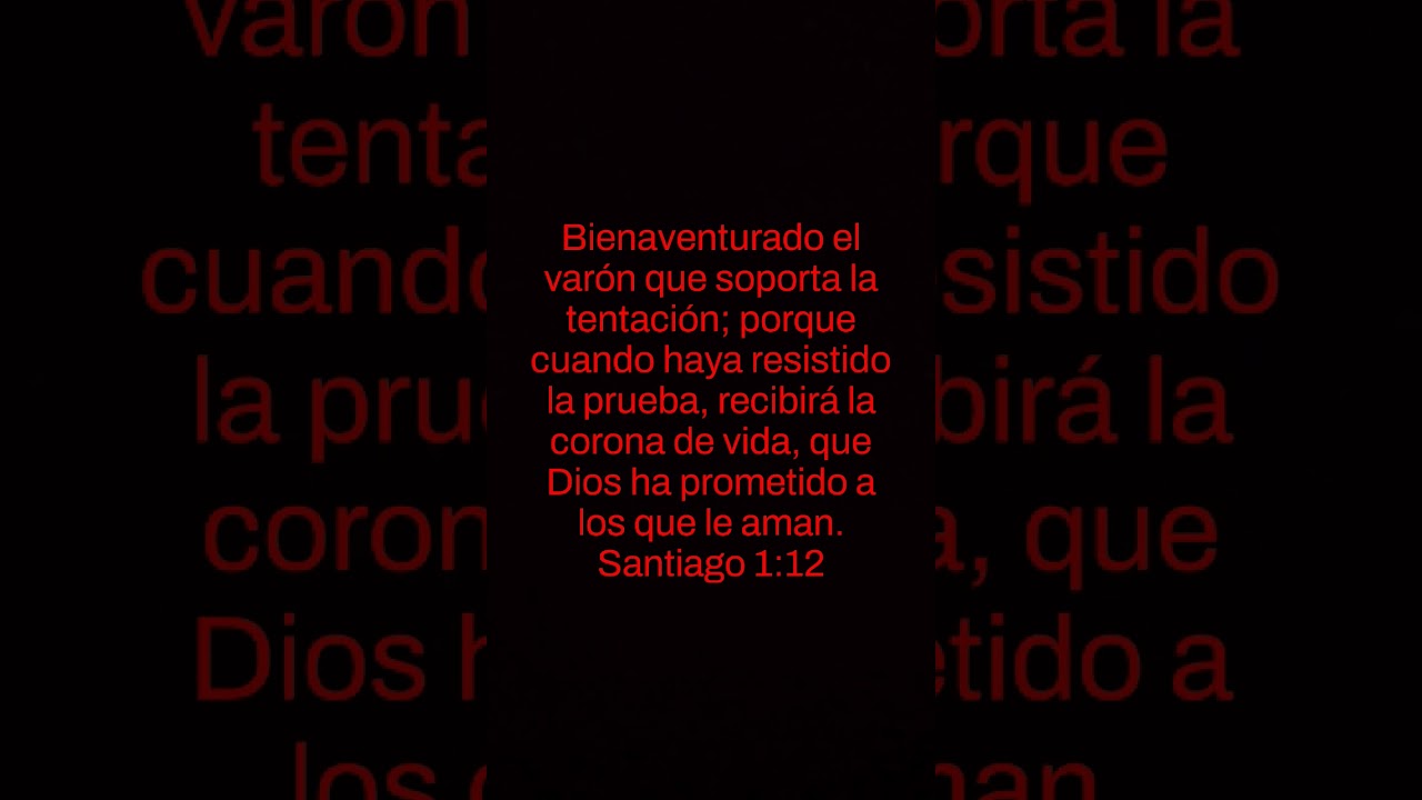 #CRISTOSALVA
