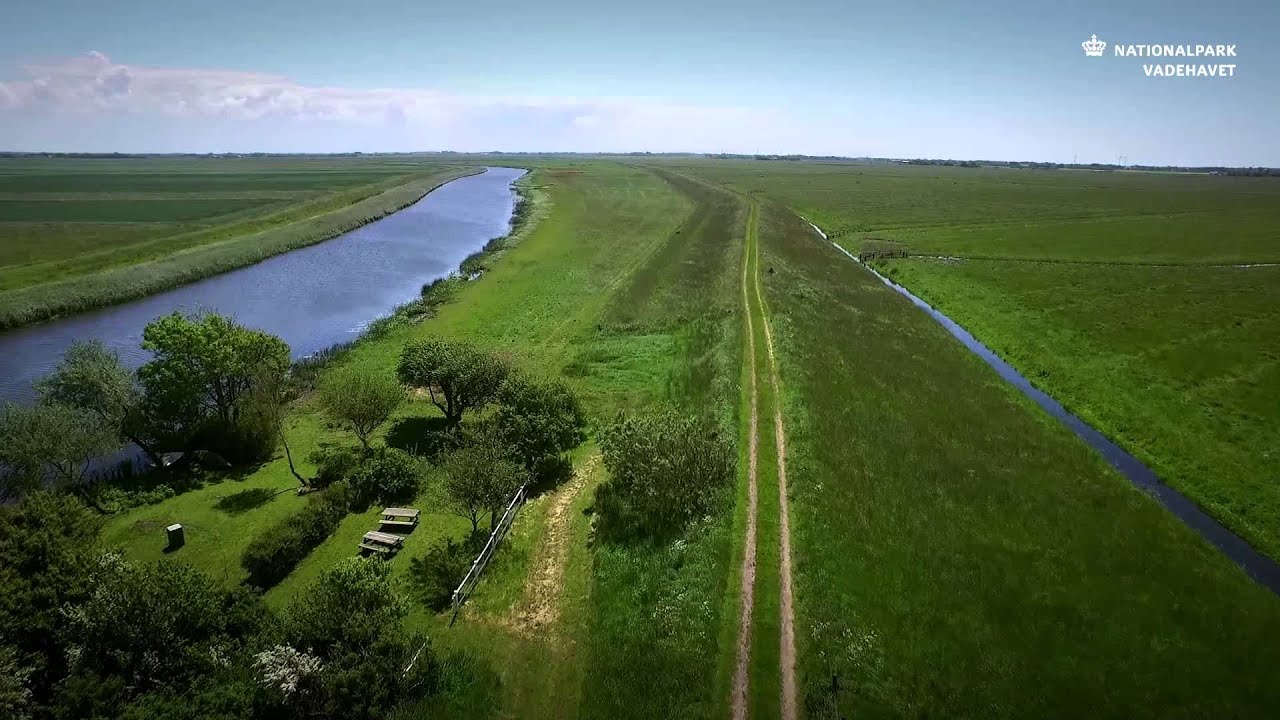 H&oslash;jer og T&oslash;ndermarsken &ndash; Nationalpark Vadehavet