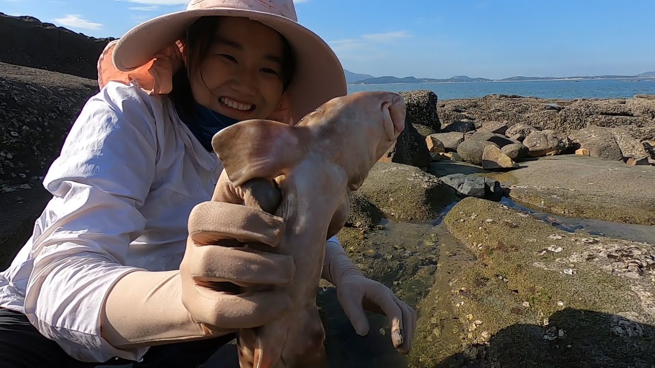 猪猪赶海一路捡垃圾，没想到海货全藏在里头，脸都笑烂了