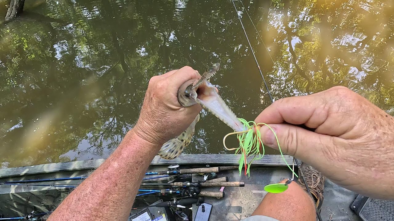 Bass Fishing Out Of Cliffs Landing, Tensaw River
