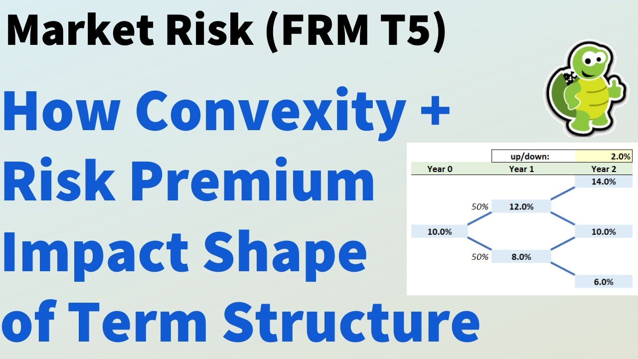 Convexity and risk premium impacts on shape of term structure (FRM T5-08)