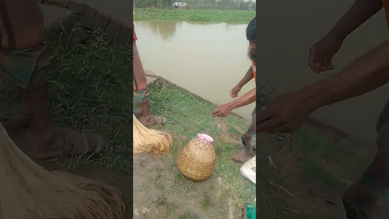 fishing vedio#fishvlog
