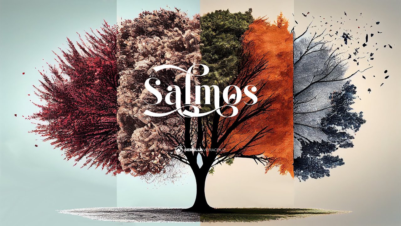 Salmos 25-26 | Semilla Veracruz